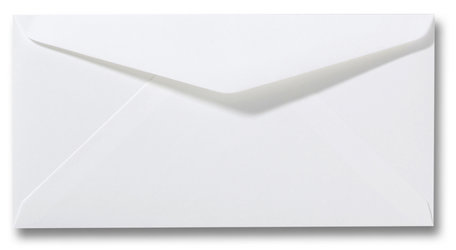 Sceptisch onwetendheid zijde Enveloppen 11 x 22 cm | Dinlong Enveloppen